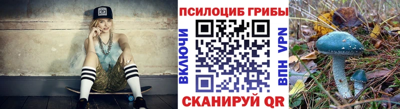 где купить наркоту  Дудинка  Галлюциногенные грибы мухоморы 